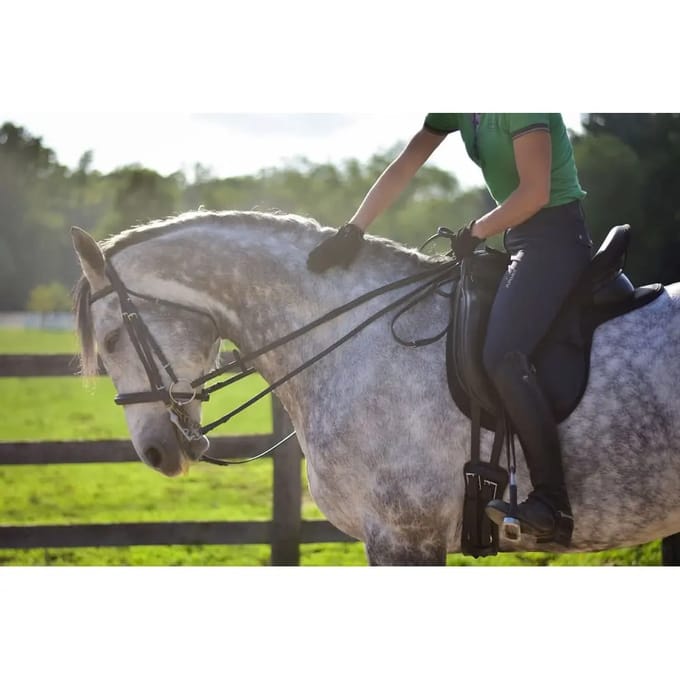 Dressuurmat voor paarden ThinLine