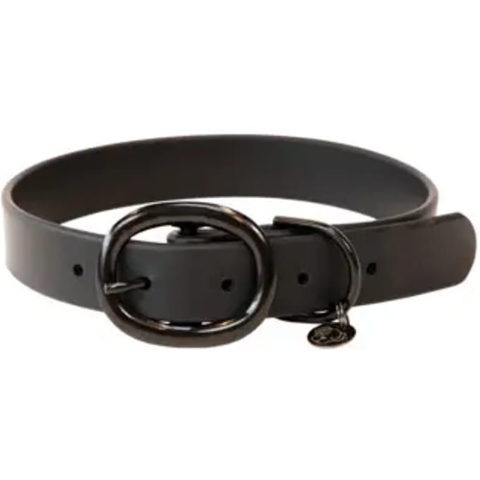 Hondenhalsband van rubber Kentucky