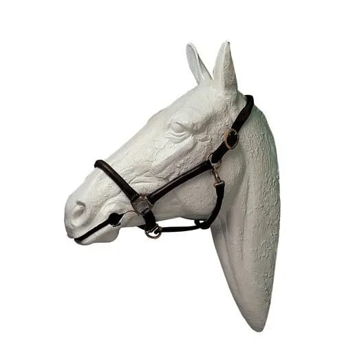 Rijhalster Hispano Hipica