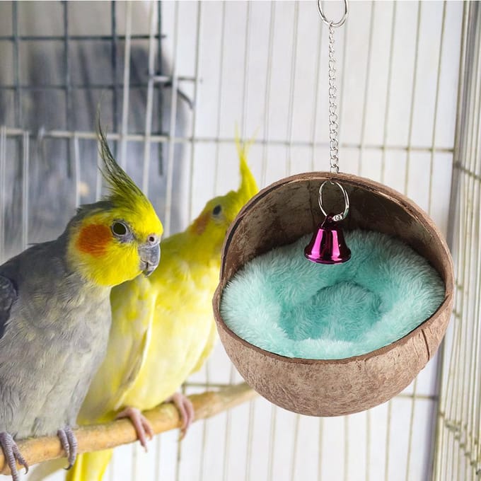 Nid d'élevage pour oiseaux en cosse de noix de coco naturelle, lit, cage, nid d'éclosion avec tapis black