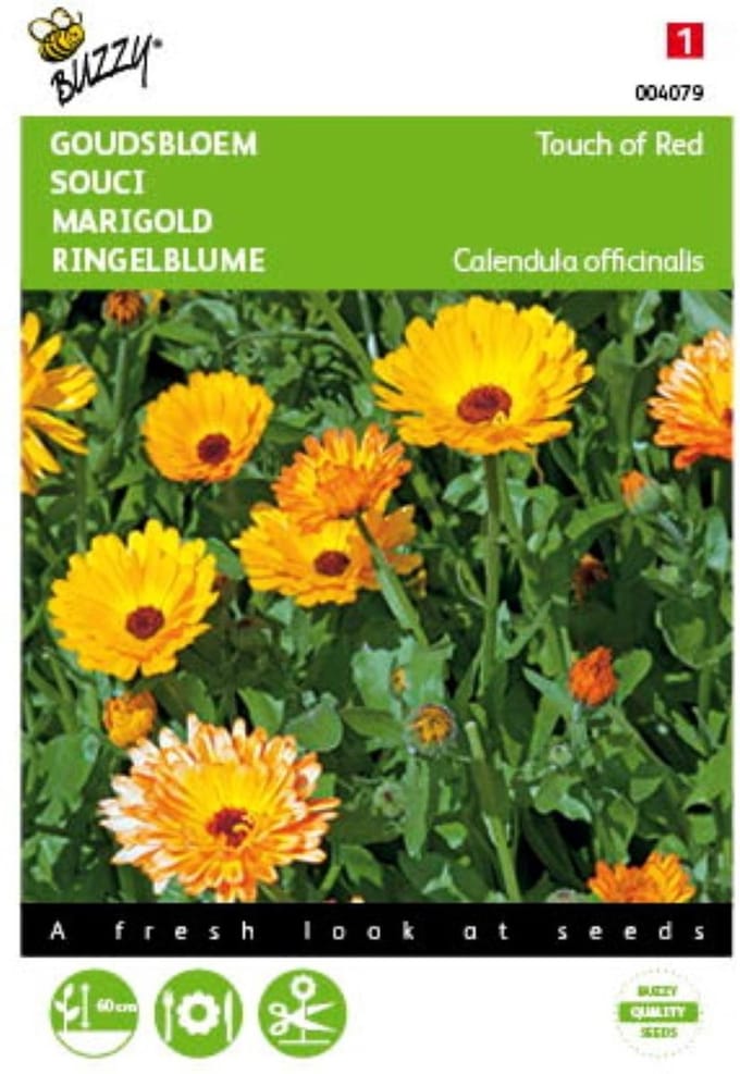 5 stuks - Buzzy - Calendula officinalis Touch of Red mixed Tuinplus
