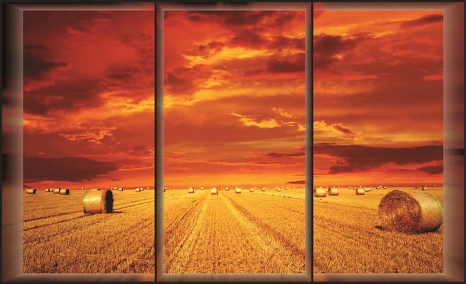 Poster | Rood | 104 x 70,5 cm