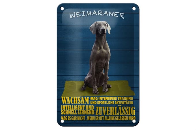 Blechschild Spruch 12x18cm Weimaraner Hund wachsam schnell