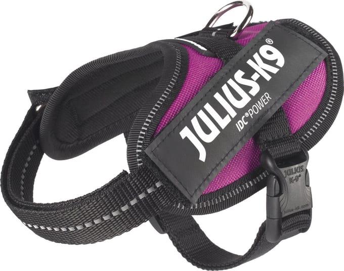 Julius-K9 IDC Powertuig - 2XS - Baby2 - Donkerroze