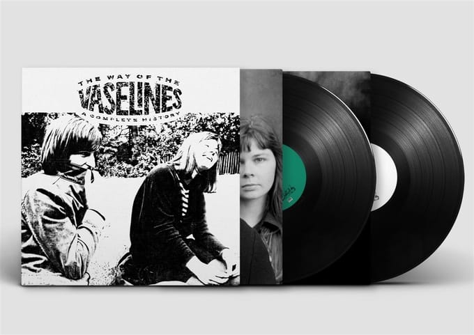 Vaselines - The Way Of The Vaselines - A Complete History (2 LP)