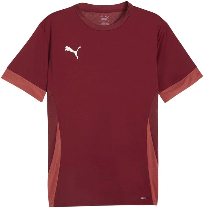 Puma TeamGOAL Matchday Shirt Heren - Maat S