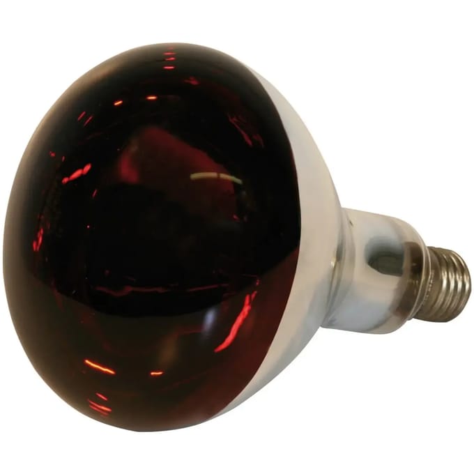 Glazen infrarood lamp Kerbl