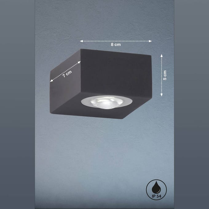 FISCHER & HONSEL LED buitenwandlamp Helsinki, zwart