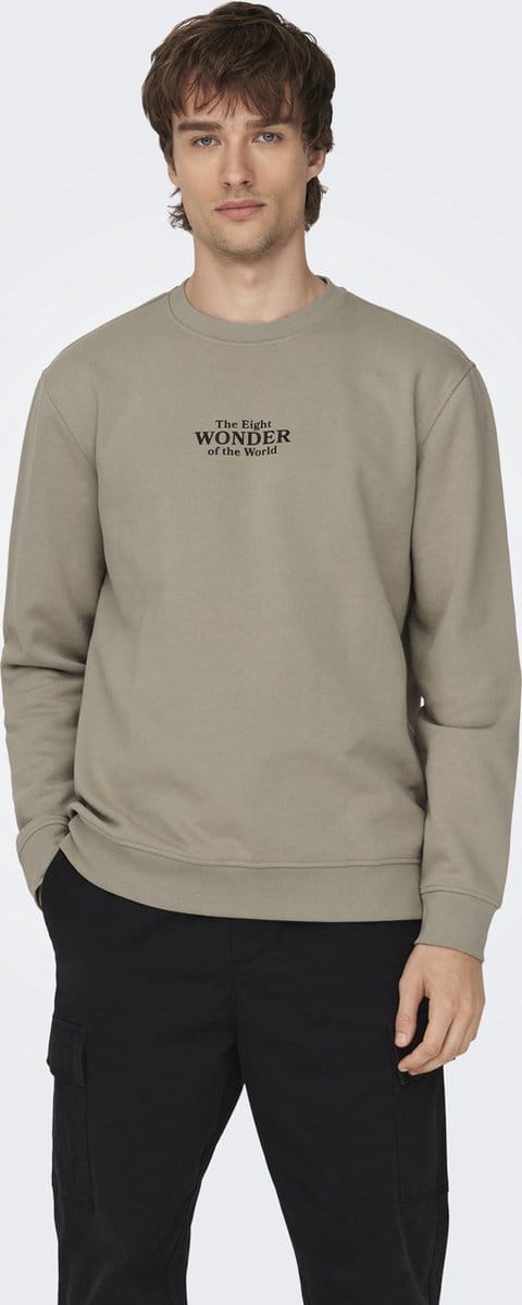 ONLY & SONS - ONSCELEBRITY REG CREW NECK SWT - Heren - Sweaters