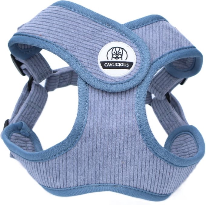 Cavlicious® hondentuigje kleine hond - ergonomisch design - ribfluweel - blauw – M