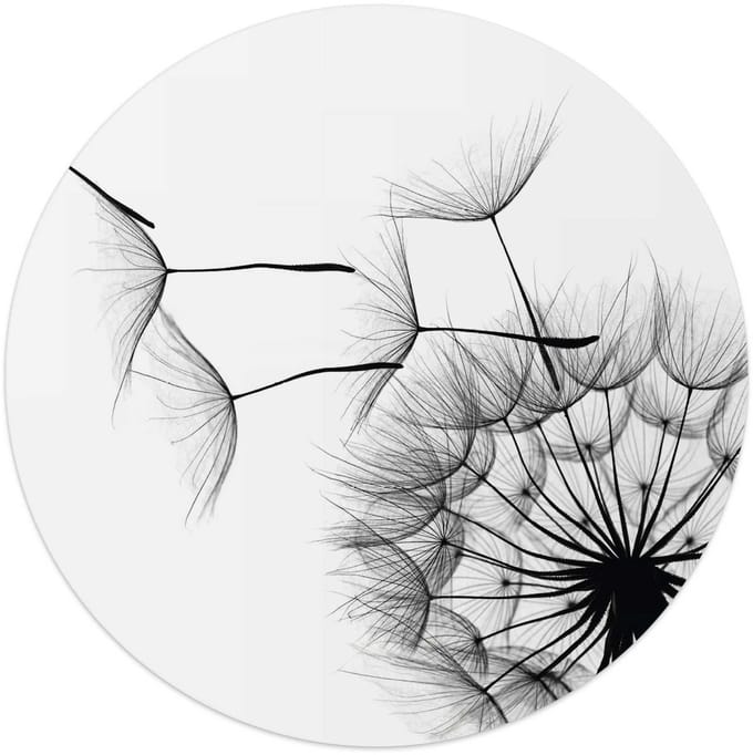 Plexiglasschilderij Paardenbloem - Ø 50 - Acrylglas - REINDERS