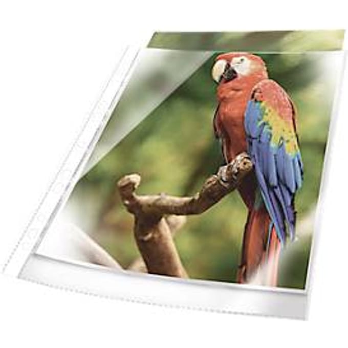 Brochurehoesjes, DIN A4, glashelder, documentbestendig, versterkte universele perforatie, met witte rand, 10 st.