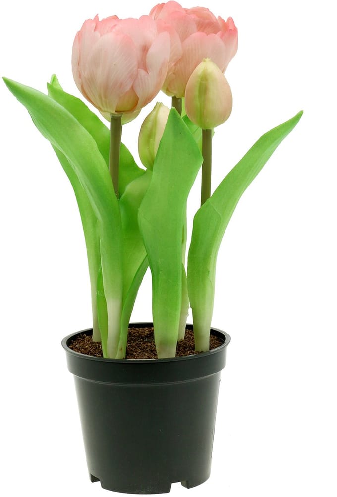 Kunstbloemen in Pot Kunsttulpen Roze Geel 22,5cm