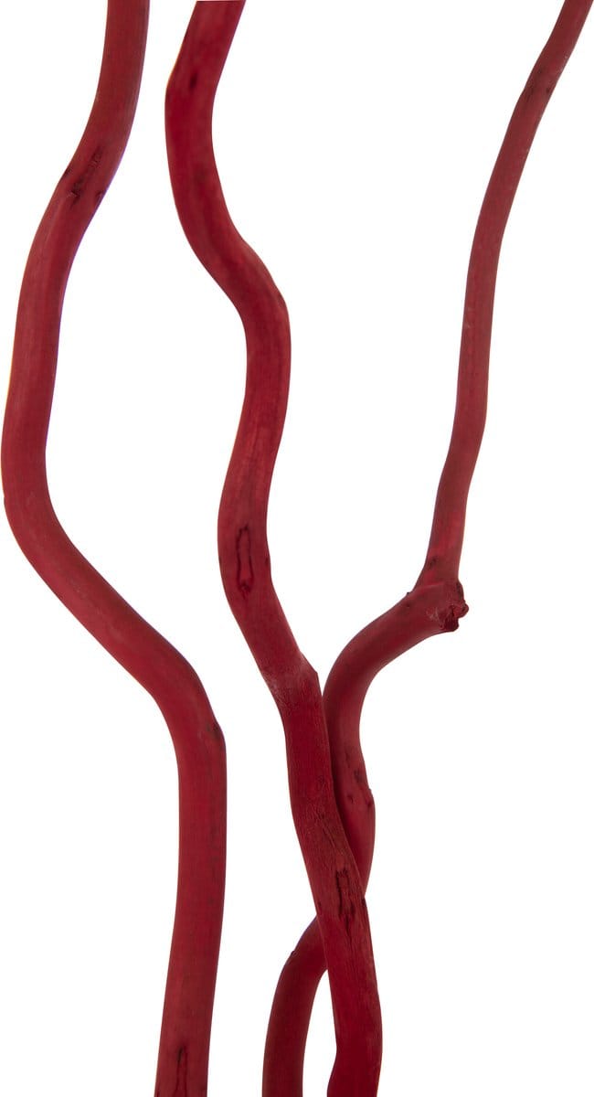 J-Line decoratie tak Droogbloemen - riet - rood - large - set van 3