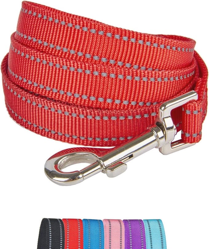 Reflecterende Nylon Hondenriem met Gewatteerde Grip en D-ring voor Middelgrote Honden - Rood