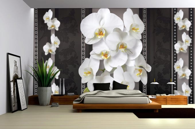 Flowers Floral Orchids Pattern Photo Wallcovering