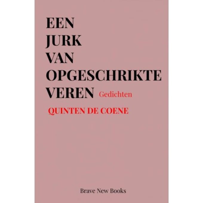 Een Jurk Van Opgeschrikte Veren - Quinten De Coene