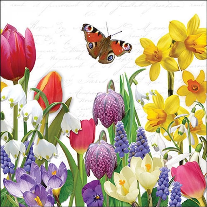 Ambiente Lunch Servetten – Spring Feeling – Voorjaarsgevoel – 33 x 33 cm - 20 stuks