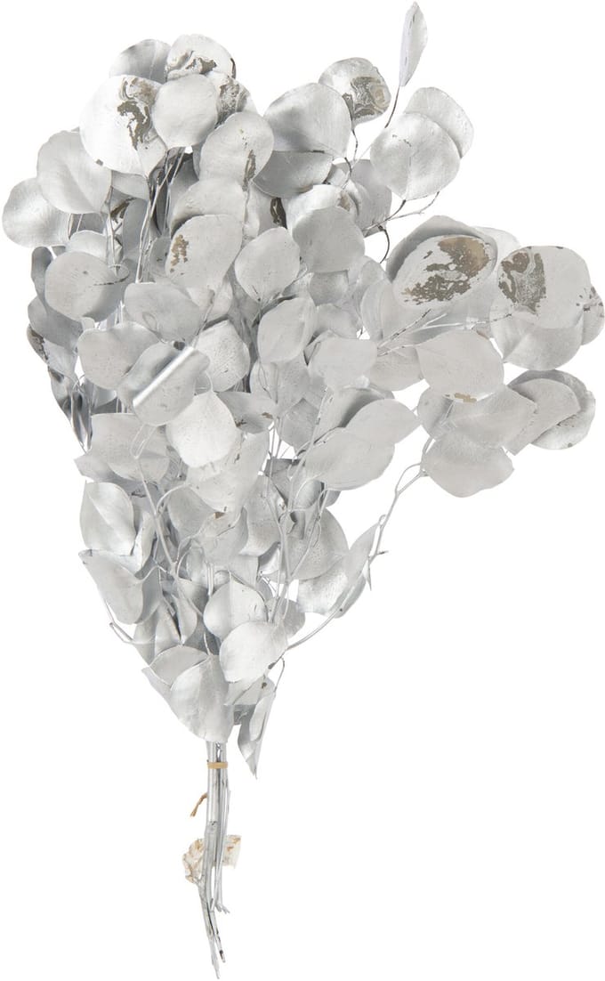J-Line droogbloemen Eucalyptus - riet - zilver