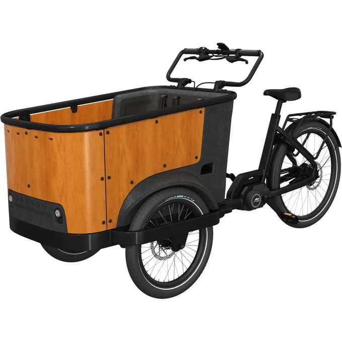 Elektrische fiets Cangoo Buckle Up