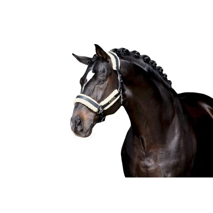 Hoofdstel schede Eskadron en fausse fourrure Stallion