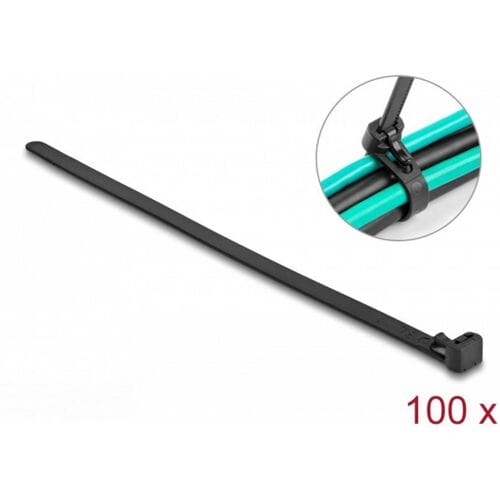 Delock 19064 Kabelbinder Zwart Hittegestabiliseerd, Herbruikbaar 100 stuk(s)