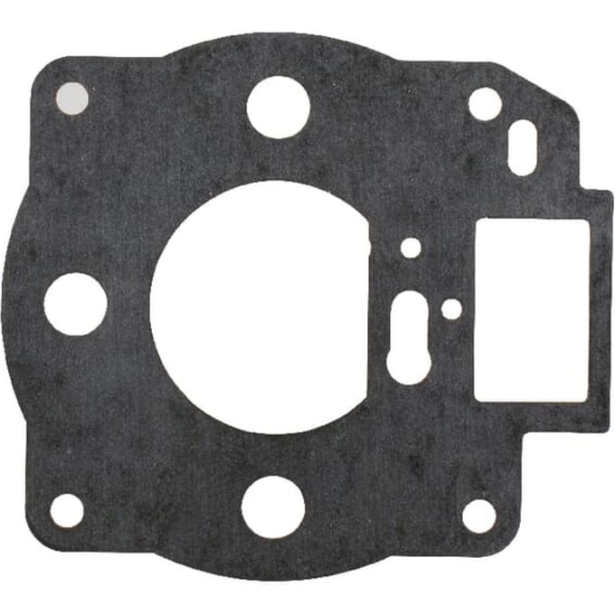 Briggs & stratton vlotterbakpakking