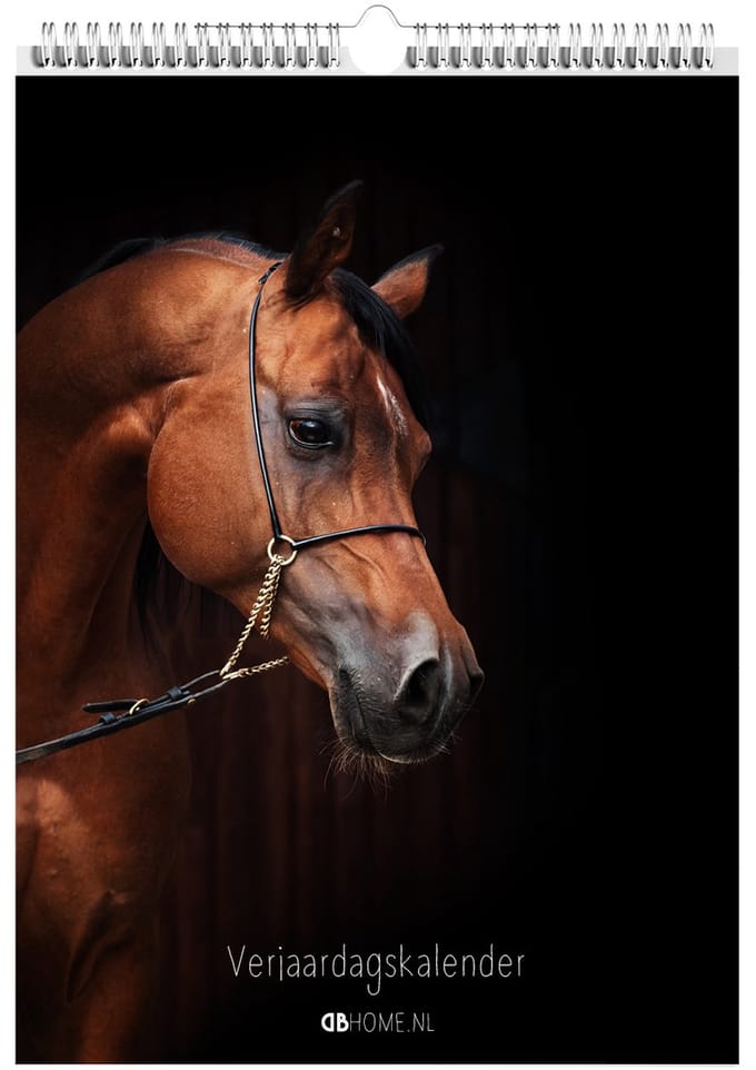 Kalender Paarden