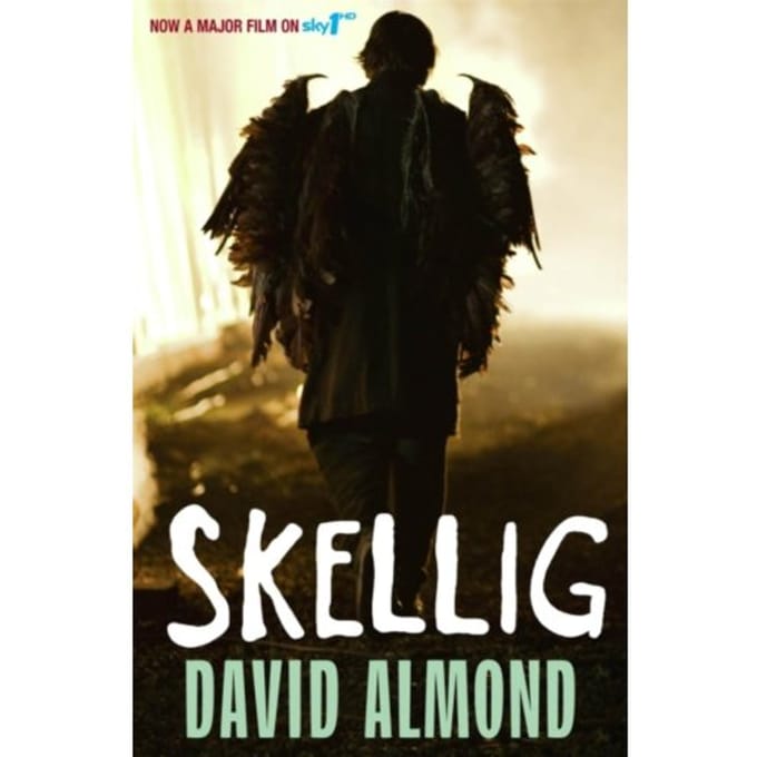 Skellig - David Almond