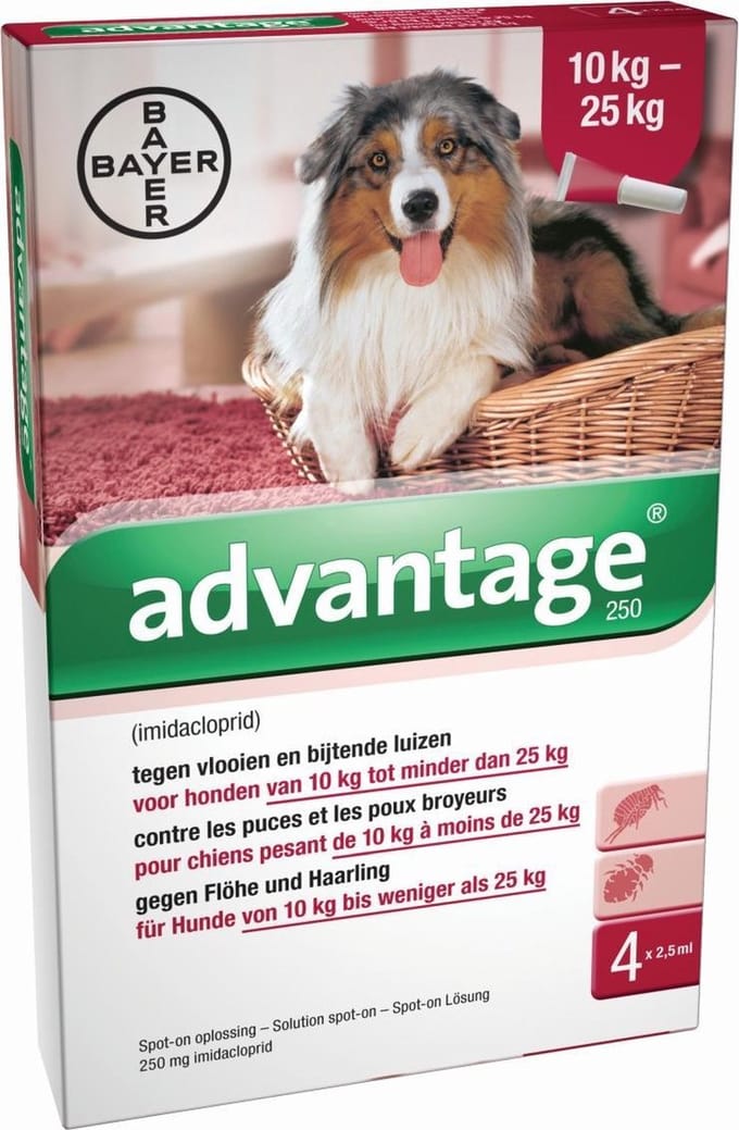 Advantage 250 Anti vlooienmiddel Hond - 4 pipetten