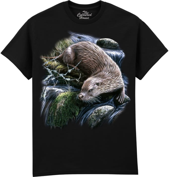 Exploring Otter The Coloured House T-shirt M