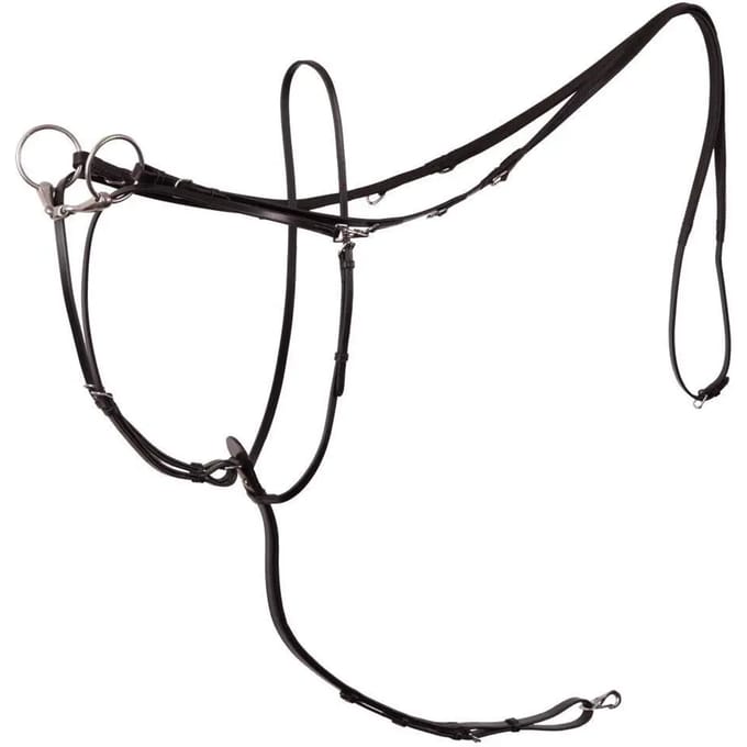 Martingale voor paarden BR Equitation Market Harborough Lancaster