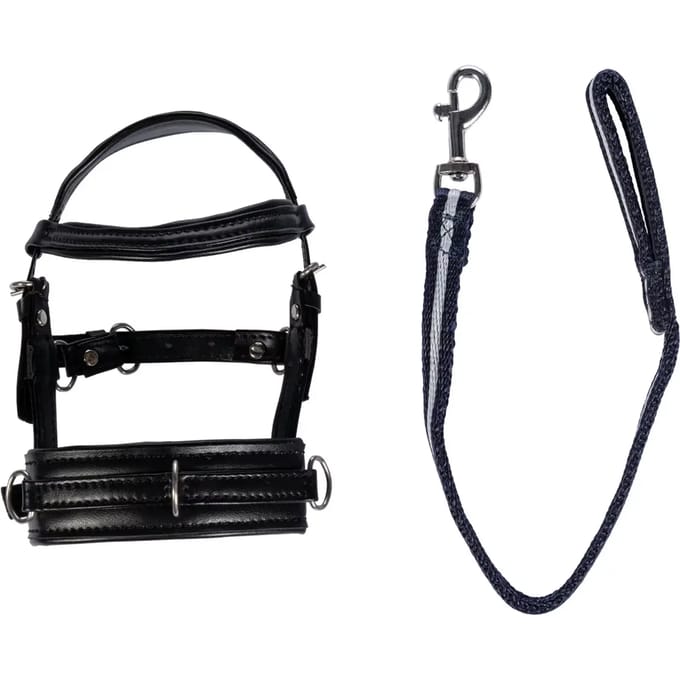 Set voor lange knuffel HKM Kids