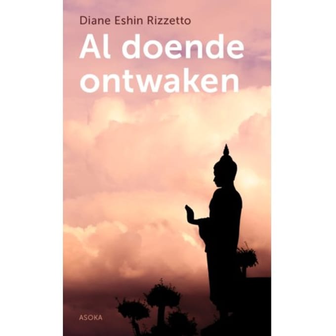 Al Doende Ontwaken - Diane Eshin Rizzetto