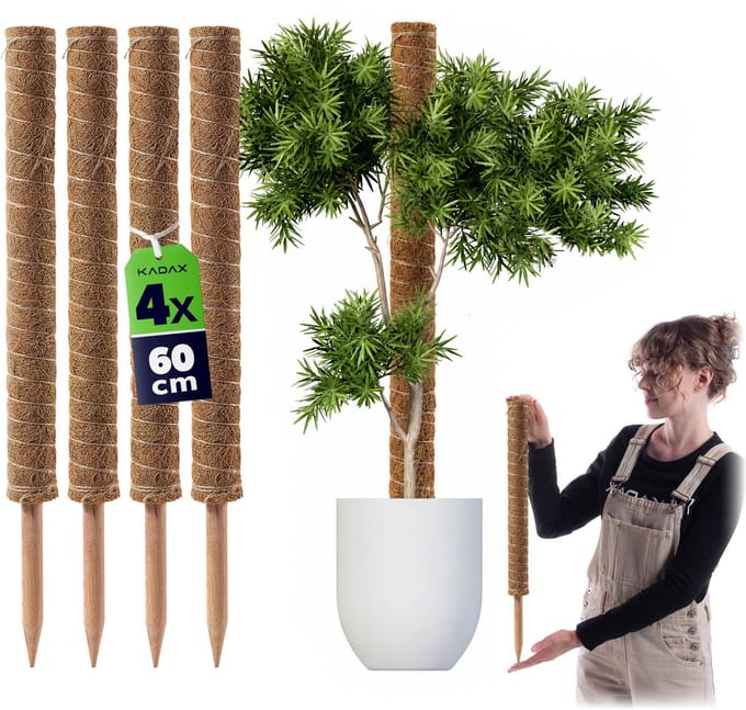 Cande kokos plantensteun 60 cm potondersteuning 4 st.