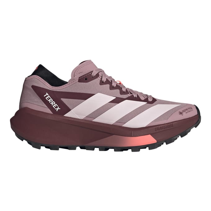 Damesschoenen adidas Terrex Agravic Gore-Tex 2