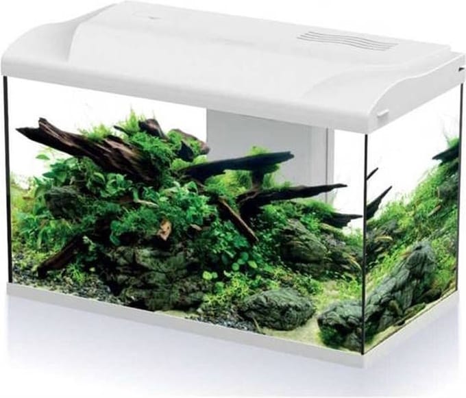 HS Aqua Aquarium Platy Bio 70 LED | 70L | 59 x 31 x 39 CM Wit Compleet