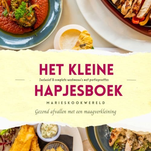 Het Kleine Hapjesboek Na Je Maagverkleining - Marie-Josee Koks