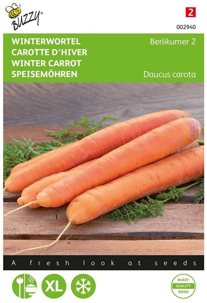Buzzy Zaden Wortelen Berlikumer 2 - Daucus carota