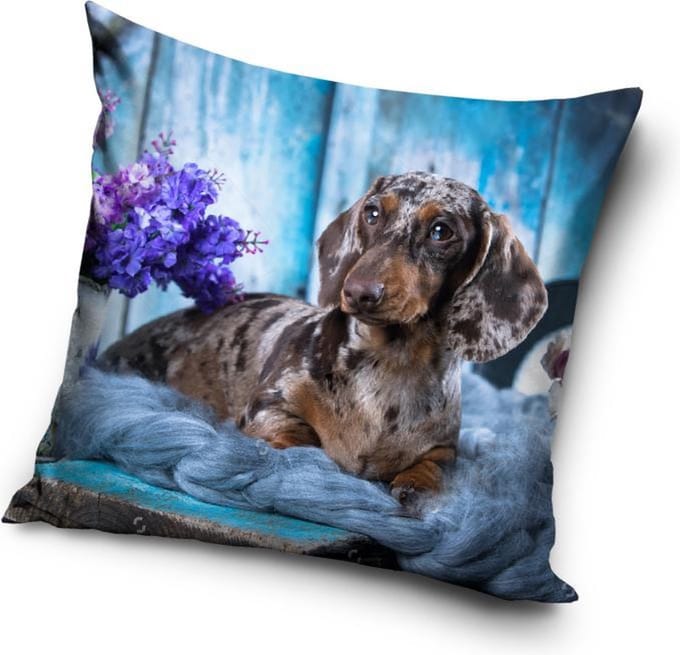 Hond - Sierkussen Kussen 40 x 40 cm inclusief vulling