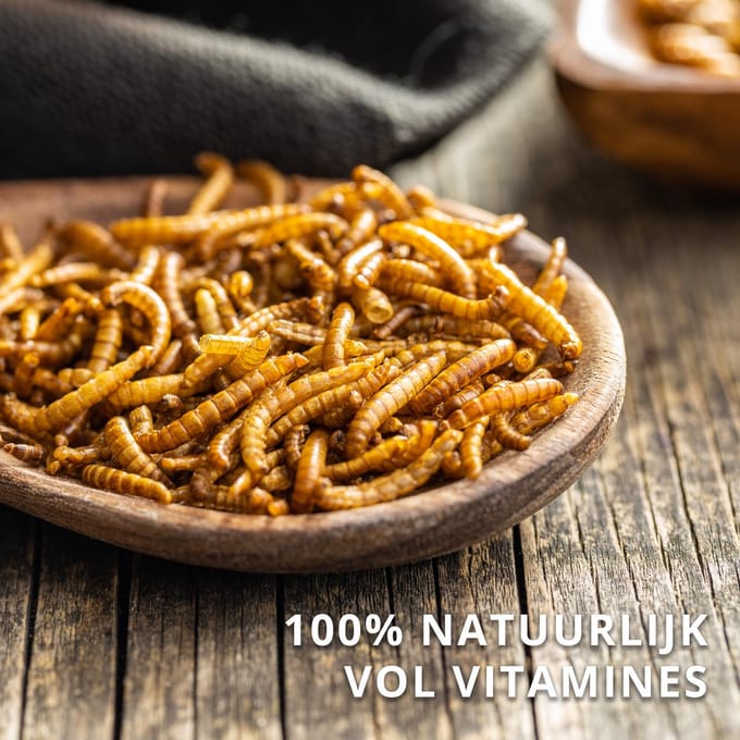 Meelwormen voor Vogels - Gedroogd Vogelvoer - 100% Natuurlijk - Vol Vitamines en Eiwitten - 5 Kilo
