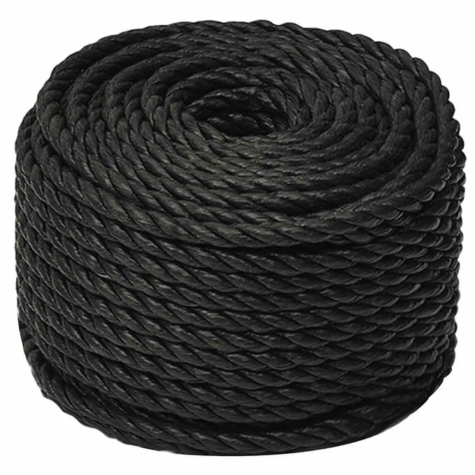 vidaXL - Werktouw - 10 - mm - 500 - m - polypropeen - zwart