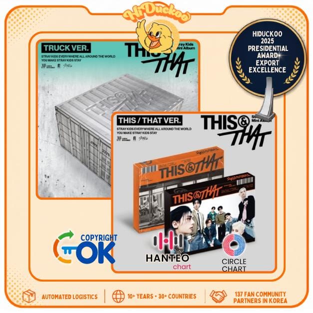 Stray Kids Mini Album - THIS & THAT (Standaard ver. & Beperkte versie) Random Standard ver. gray