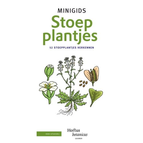 Set Minigids Stoepplantjes - Minigids - Hortus Botanicus Leiden