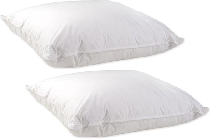 Veren Hoofdkussen Set (2 Stuks) - Medium - 60x70 cm