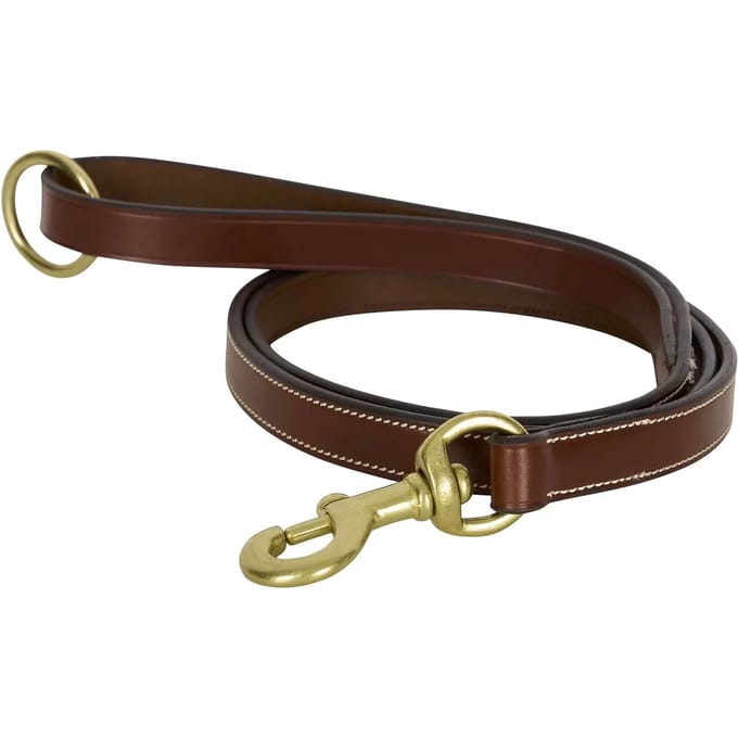 Hondenriem HV Polo Legacy