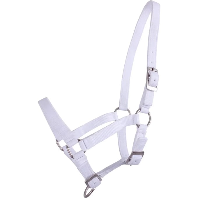Q-essentials Veulenhalster Q-essentials Mini Wit