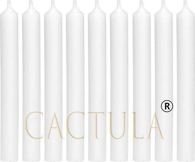 Cactula mooie dinerkaarsen 19.5 cm Wit 18 stuks | 6 branduren
