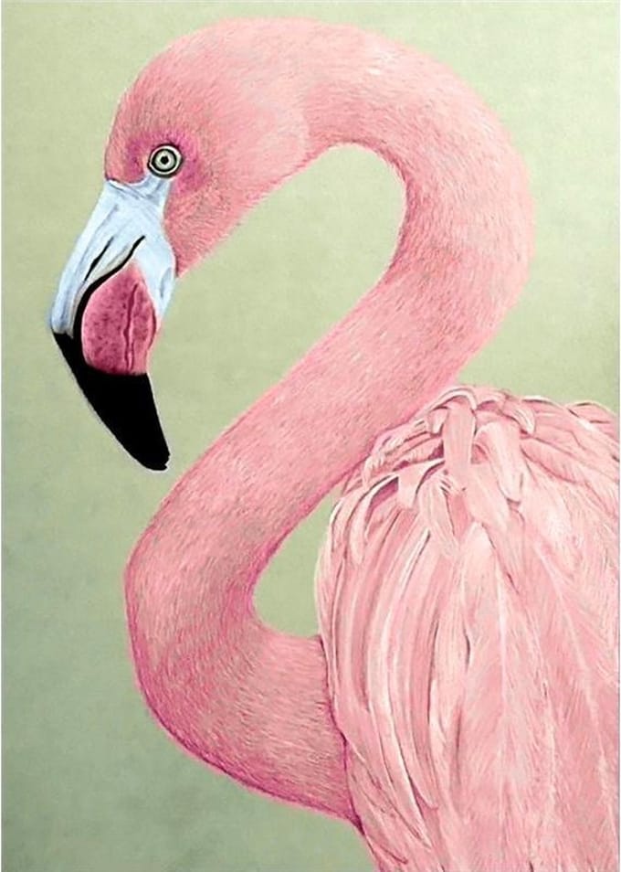 Wizardi Diamond Painting Pink Flamingo - WD232