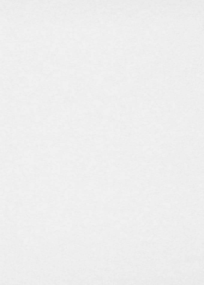 Erismann Vliesbehang 33301 - RollOver27 - Overschilderbaar Wit - 75cm x 25,00m